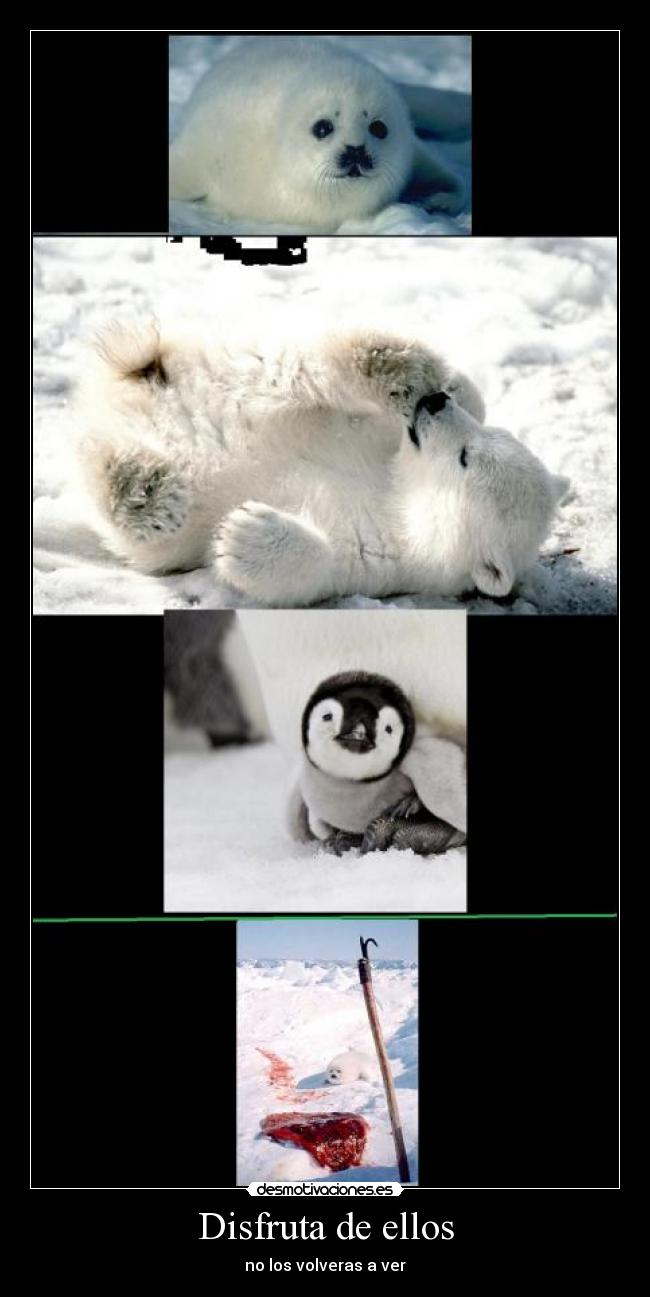 Disfruta de ellos - 
