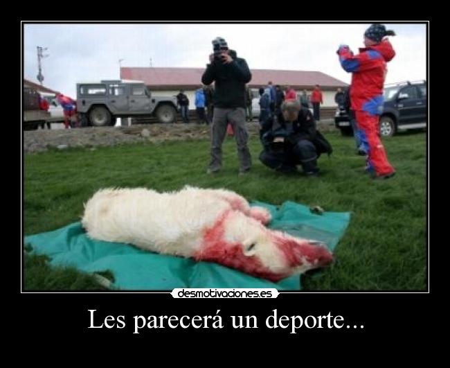 Les parecerá un deporte... -