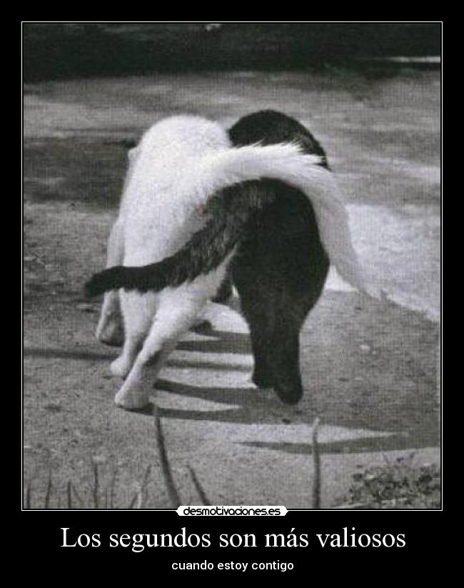 Los segundos son más valiosos -