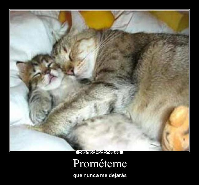 Prométeme -