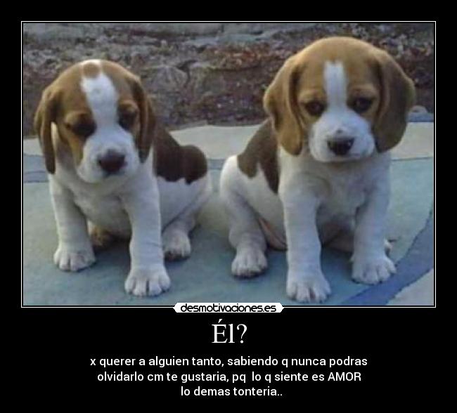 carteles eel desmotivaciones