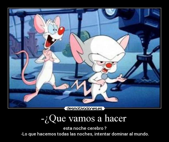 -¿Que vamos a hacer -