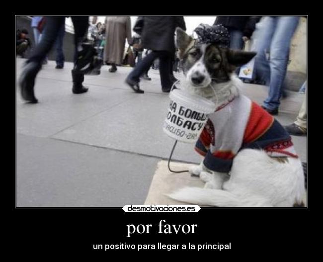 por favor - un positivo para llegar a la principal