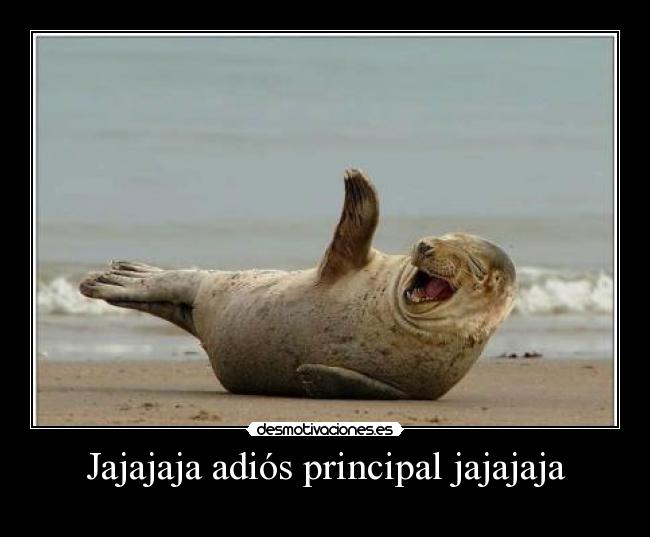 Jajajaja adiós principal jajajaja - 