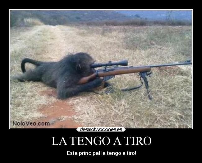 LA TENGO A TIRO - 