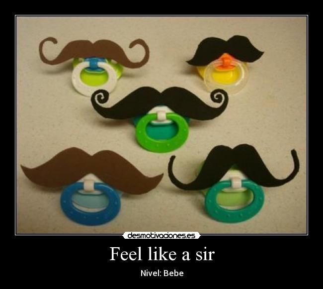 Feel like a sir - Nivel: Bebe