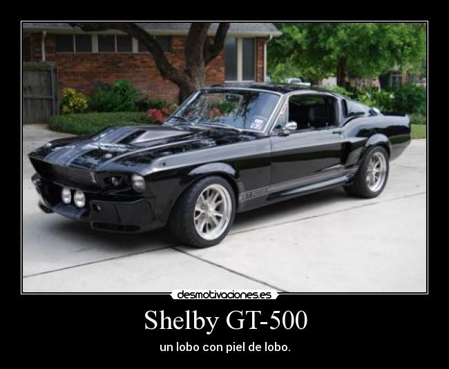 Shelby GT-500 - un lobo con piel de lobo.