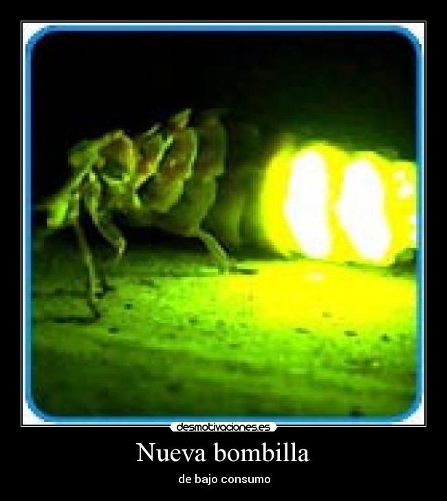 Nueva bombilla -