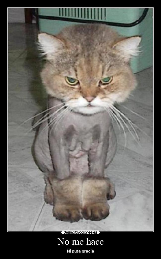 No me hace - Ni puta gracia