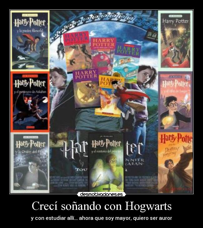 carteles creci sonando con hogwarts con estudiar alli ahora que soy mayor quiero ser auror desmotivaciones