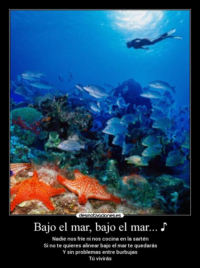 Bajo el mar, bajo el mar... ♪ - Nadie nos fríe ni nos cocina en la sartén
Si no te quieres alinear bajo el mar te quedarás
Y sin problemas entre burbujas
Tú vivirás