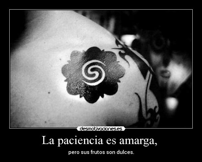 La paciencia es amarga,  - pero sus frutos son dulces.