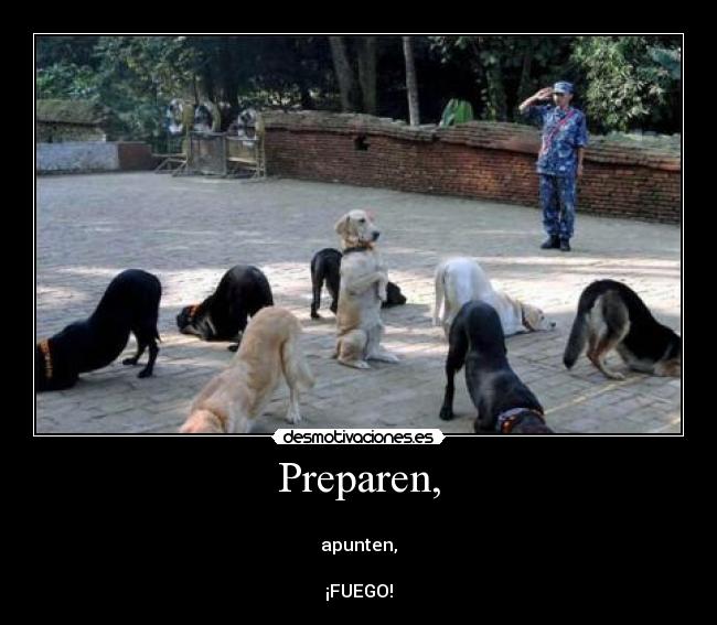 Preparen, - 