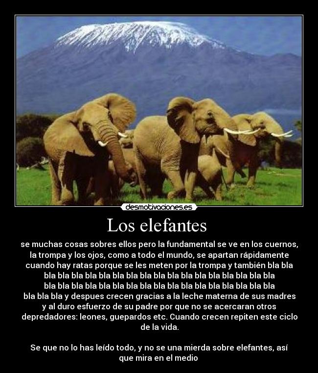 Los elefantes  - se muchas cosas sobres ellos pero la fundamental se ve en los cuernos,
la trompa y los ojos, como a todo el mundo, se apartan rápidamente
cuando hay ratas porque se les meten por la trompa y también bla bla
bla bla bla bla bla bla bla bla bla bla bla bla bla bla bla bla bla
bla bla bla bla bla bla bla bla bla bla bla bla bla bla bla bla bla
bla bla bla y despues crecen gracias a la leche materna de sus madres
y al duro esfuerzo de su padre por que no se acercaran otros
depredadores: leones, guepardos etc. Cuando crecen repiten este ciclo
de la vida.

Se que no lo has leído todo, y no se una mierda sobre elefantes, así
que mira en el medio 