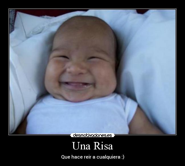 risa scida risa scida