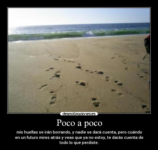 carteles raton3 desmotivaciones