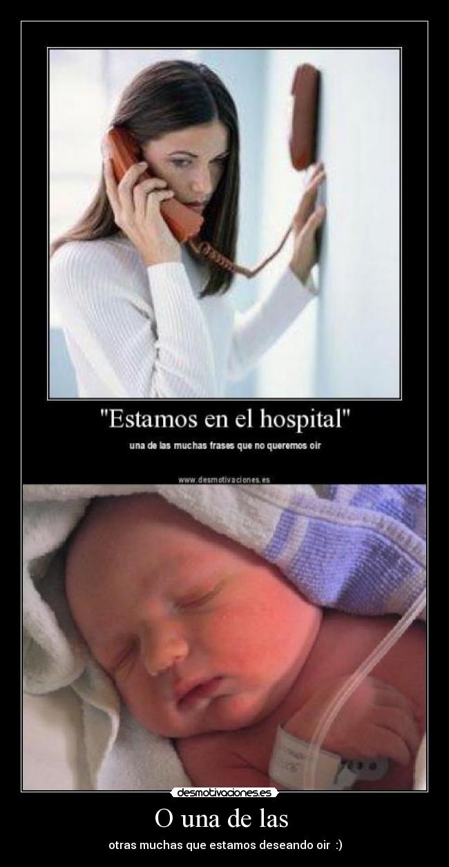 carteles bebes otras muchas desmotivaciones