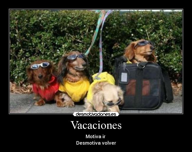 Vacaciones - 
