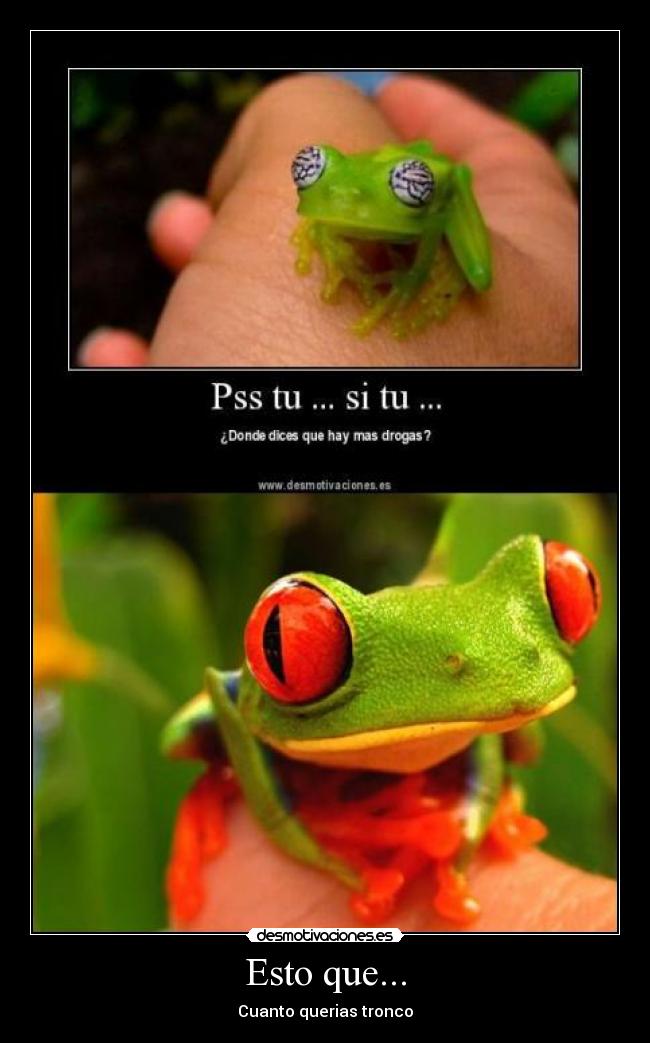 Esto que... - Cuanto querias tronco