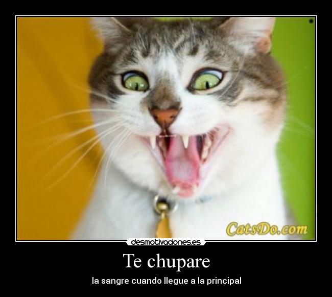 Te chupare - la sangre cuando llegue a la principal
