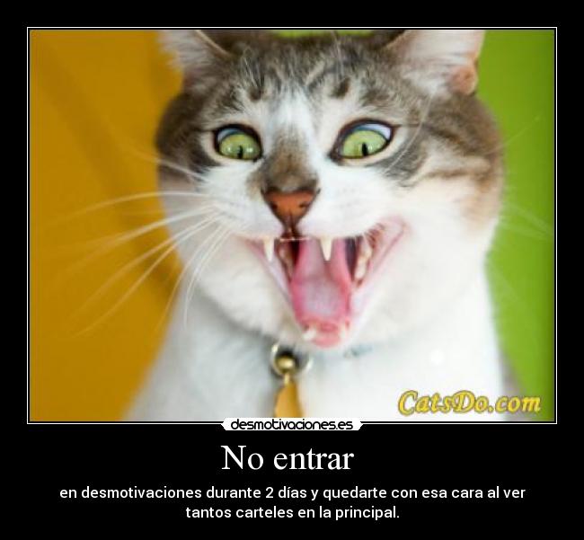 carteles gato principal lengua fotos desmotivaciones desmotivaciones