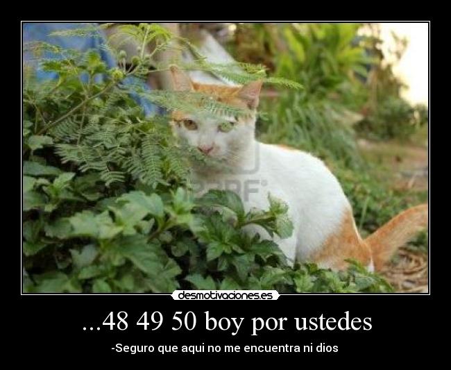 ...48 49 50 boy por ustedes - -Seguro que aqui no me encuentra ni dios