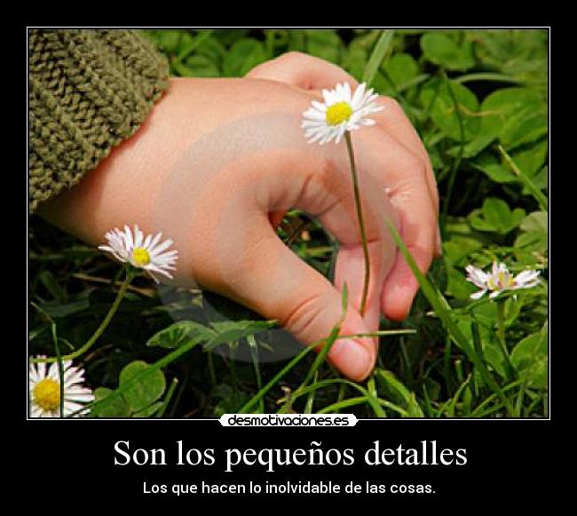 carteles dayana desmotivaciones