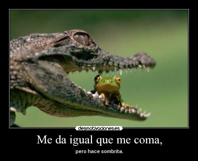 Me da igual que me coma, - pero hace sombrita.