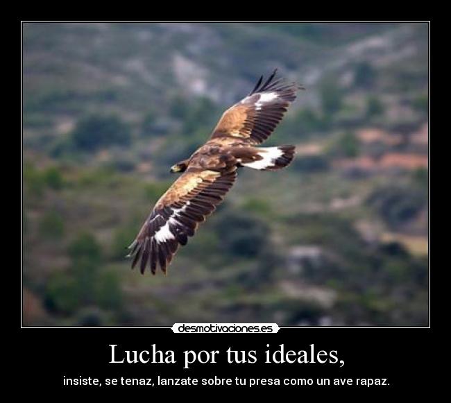 Lucha por tus ideales, - 