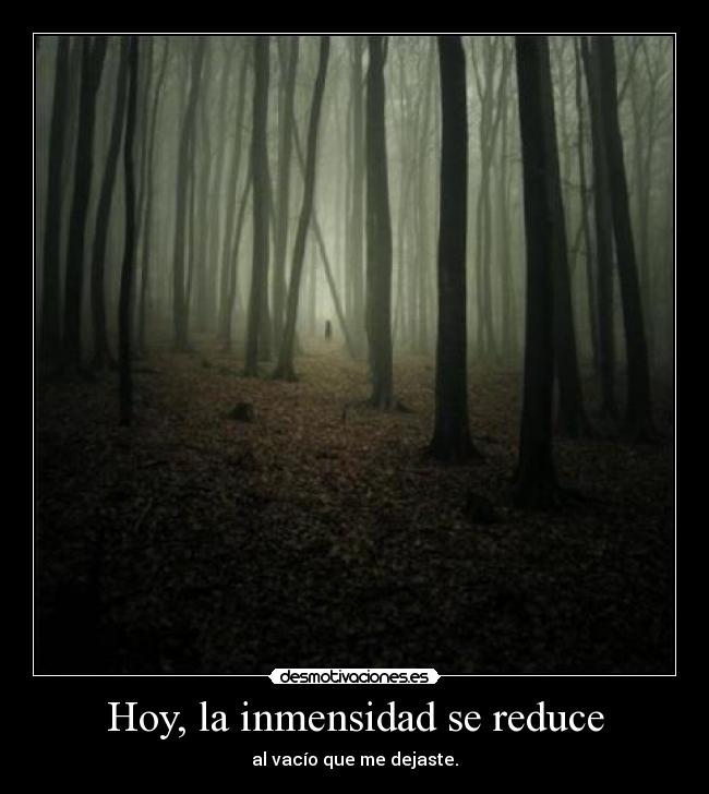 Hoy, la inmensidad se reduce - 