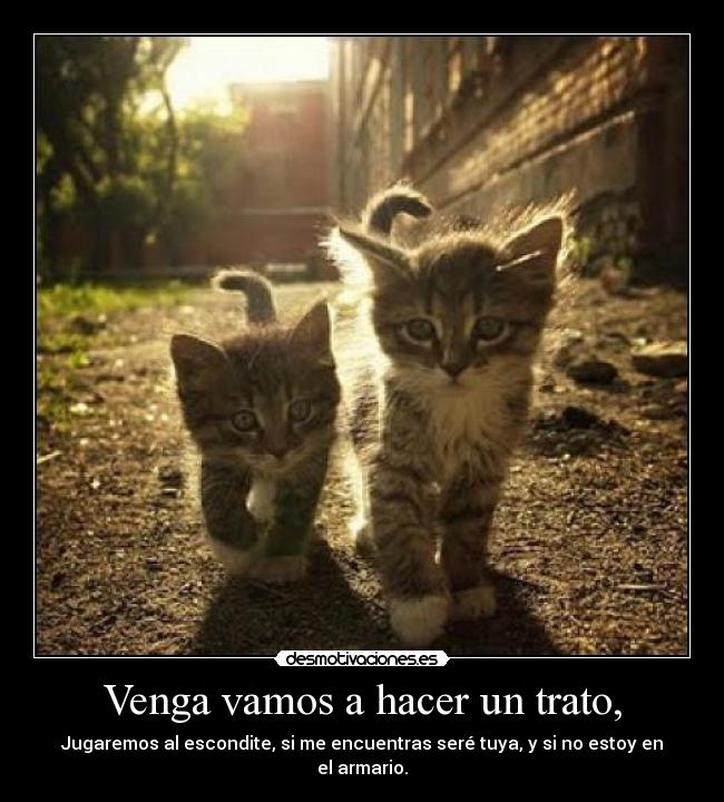 Venga vamos a hacer un trato, Desmotivaciones