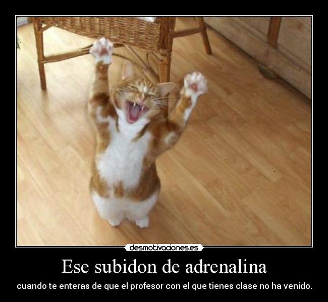 Ese subidon de adrenalina - 