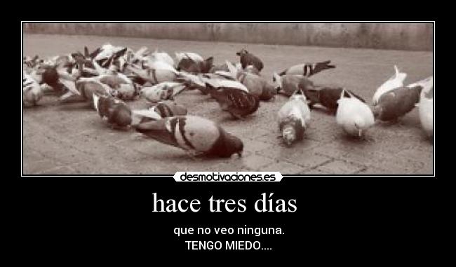 hace tres días  - 