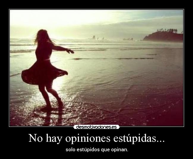 No hay opiniones estúpidas... -