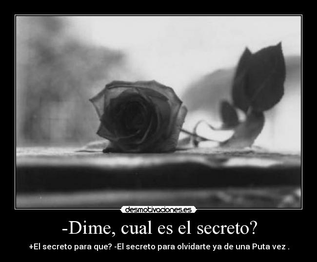 -Dime, cual es el secreto? -