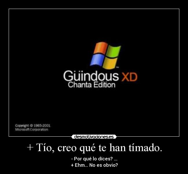 carteles timo timado windows falso edition chanta desmotiva desmotivacion xd lol desmotivaciones