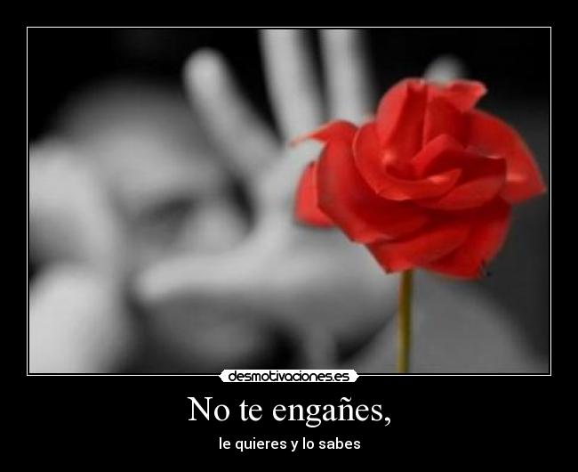 No te engañes, - le quieres y lo sabes