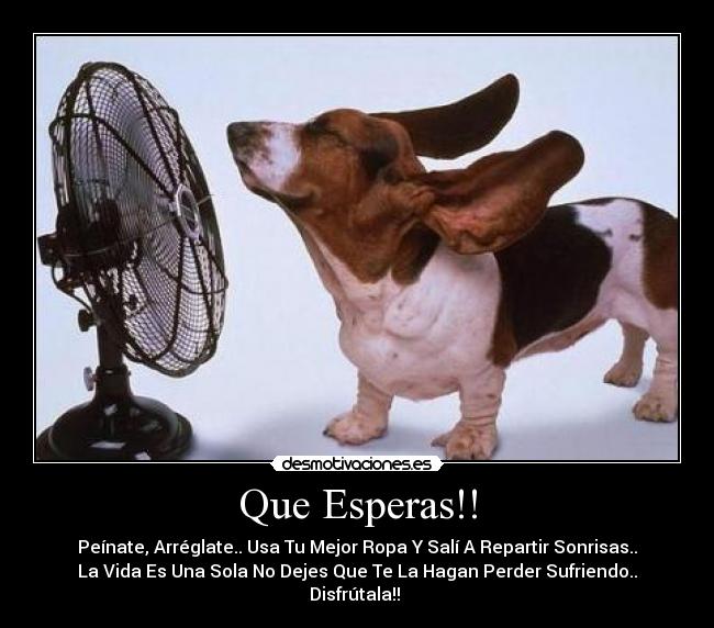 Que Esperas!! - Peínate, Arréglate.. Usa Tu Mejor Ropa Y Salí A Repartir Sonrisas..
La Vida Es Una Sola No Dejes Que Te La Hagan Perder Sufriendo..
Disfrútala!!