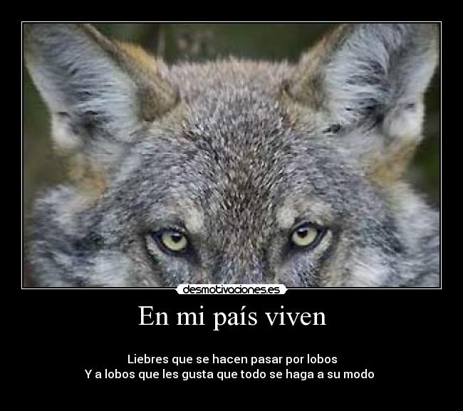 En mi país viven - 
Liebres que se hacen pasar por lobos
Y a lobos que les gusta que todo se haga a su modo 
