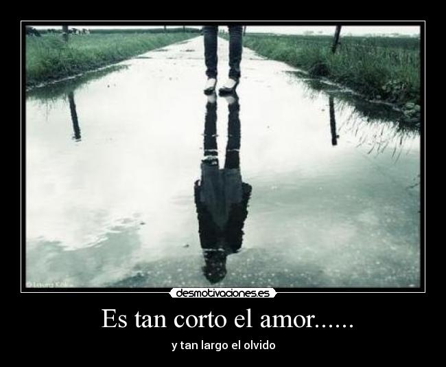 Es tan corto el amor...... -