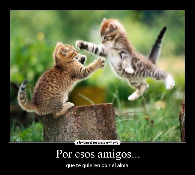 Por esos amigos... -