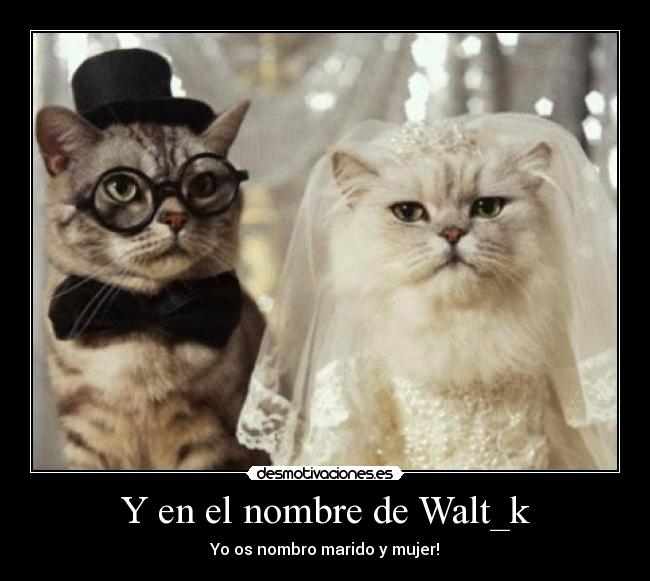 Y en el nombre de Walt_k - Yo os nombro marido y mujer!