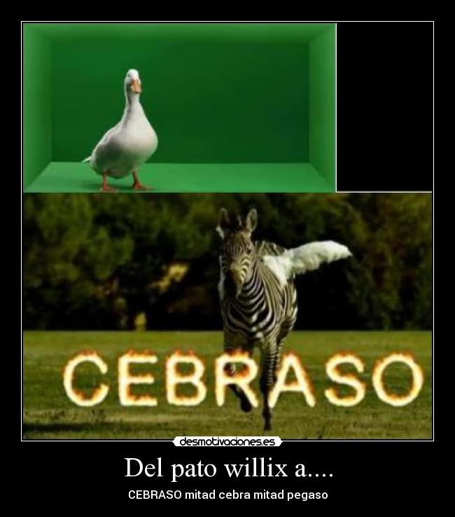 Del pato willix a.... - CEBRASO mitad cebra mitad pegaso