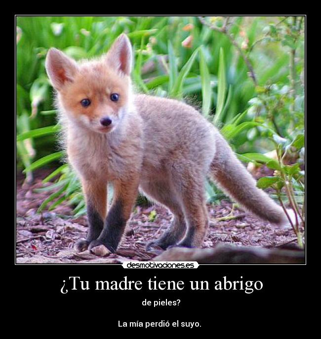 ¿Tu madre tiene un abrigo - de pieles?

La mía perdió el suyo. 