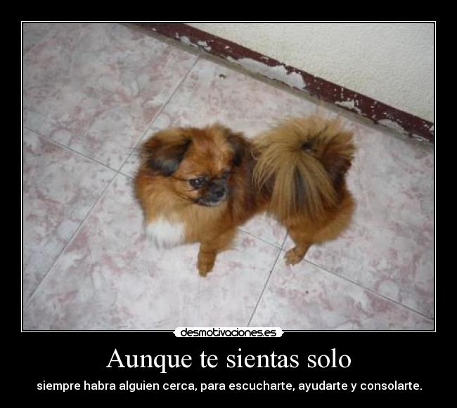 Aunque te sientas solo -