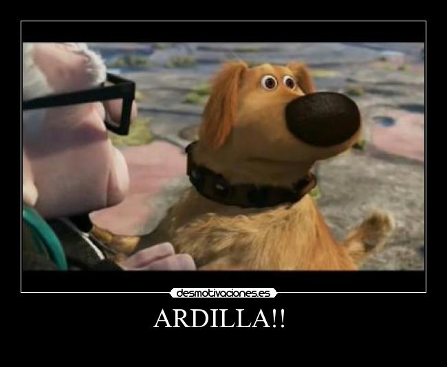 ARDILLA!! -