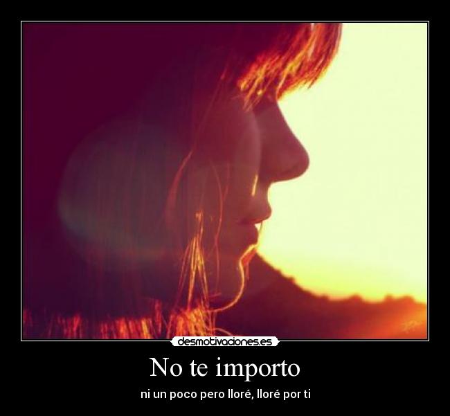 No te importo - ni un poco pero lloré, lloré por ti