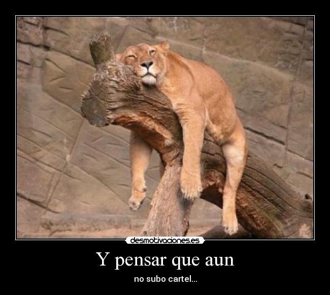 Y pensar que aun - no subo cartel...