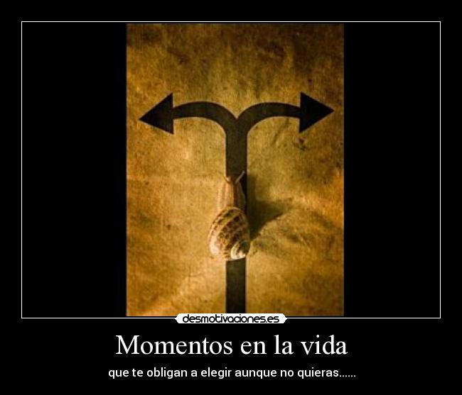 Momentos en la vida - 