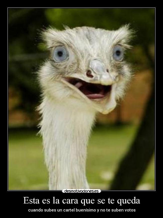 carteles colacartelessorprendidocara desmotivaciones